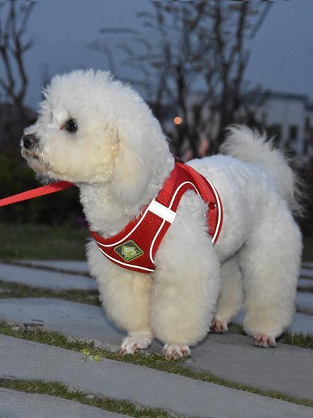dog harness vest adjustable soft breathable nylon mesh dogs puppy collar cat pet chest strap collars & leashes
dog harness vest adjustable soft breathable nylon mesh dogs puppy collar cat pet chest strap collars & leashes