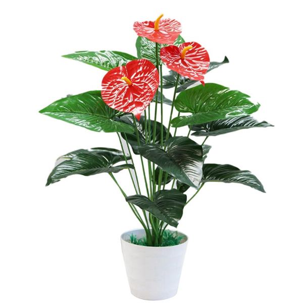 artificial flower plant potted accessories simulated anthurium fake wall decorative home decoration flowers & wreaths
artificial flower plant potted accessories simulated anthurium fake wall decorative home decoration flowers & wreaths