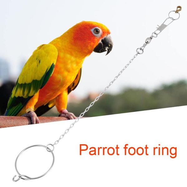 other bird supplies 1 pcs pet parrot leg ring ankle foot chain outdoor flying training activity opening stand accessories
other bird supplies 1 pcs pet parrot leg ring ankle foot chain outdoor flying training activity opening stand accessories