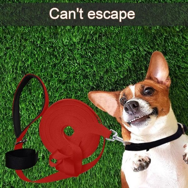 long dog traction rope nylon padded handle for medium large dogshandle durable pet training harness apparel
long dog traction rope nylon padded handle for medium large dogshandle durable pet training harness apparel