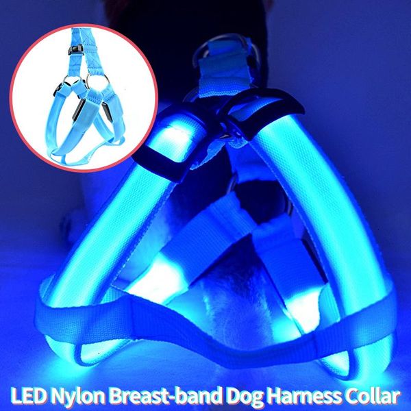dog collars & leashes nylon breast-band harness led collar night safety flashing glow products for luminous pet supplies christmas
dog collars & leashes nylon breast-band harness led collar night safety flashing glow products for luminous pet supplies christmas