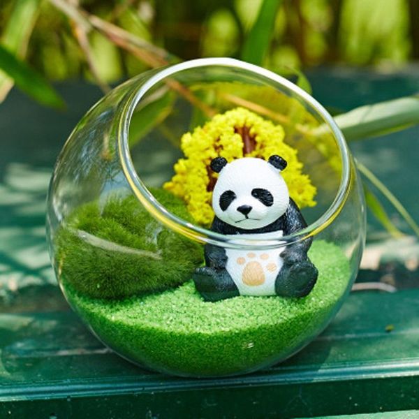 vases transparent glass vase fish tank hydroponic flower round vasos panda decorativos fishbowl home decoration
vases transparent glass vase fish tank hydroponic flower round vasos panda decorativos fishbowl home decoration