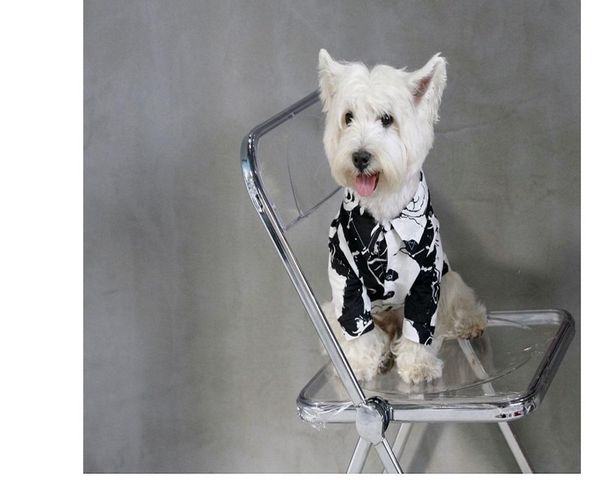 dog apparel summer clothes t-shirt cute panda pet clothing puppy yorkie poodle bichon pomeranian schnauzer costume
dog apparel summer clothes t-shirt cute panda pet clothing puppy yorkie poodle bichon pomeranian schnauzer costume