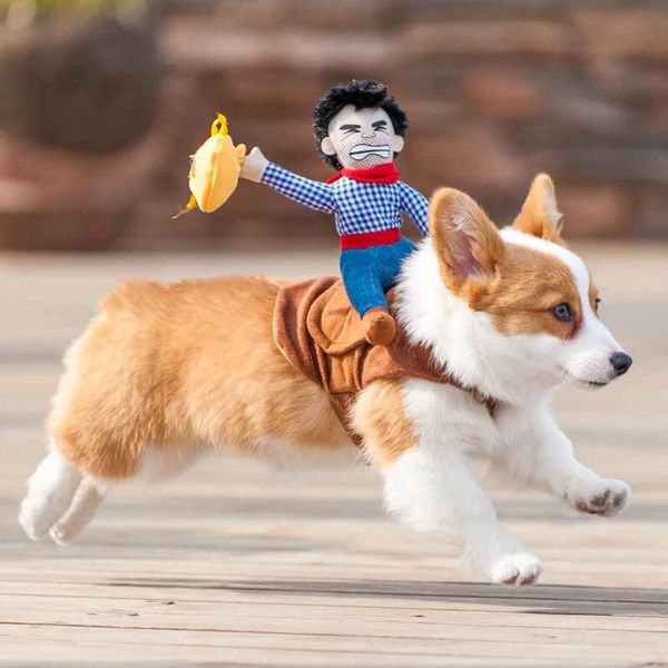 cat costumes fashion pet clother cowboy rider dog costume dogs clothing cosplay knight's horse funny dress clothes
cat costumes fashion pet clother cowboy rider dog costume dogs clothing cosplay knight's horse funny dress clothes