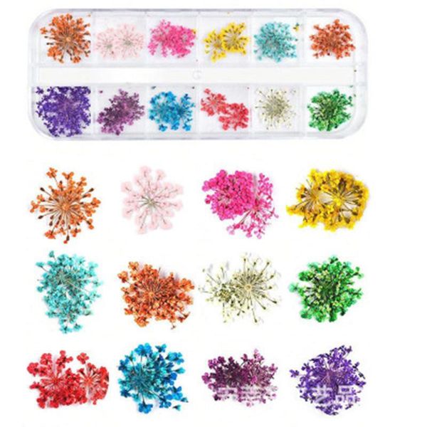 nail art decorations 1box 3d dried flower decoration natural floral sticker mixed dry diy decals jewelry uv gel polish manicure, Silver;gold
nail art decorations 1box 3d dried flower decoration natural floral sticker mixed dry diy decals jewelry uv gel polish manicure, Silver;gold