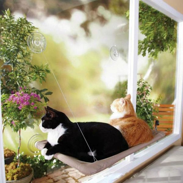cat beds & furniture hanging bearing 20kg sunny seat window mount pet hammock comfortable bed
cat beds & furniture hanging bearing 20kg sunny seat window mount pet hammock comfortable bed
