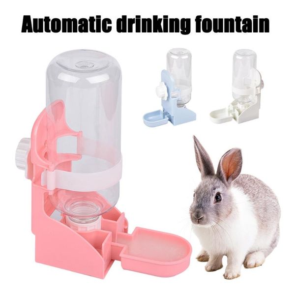 cat bowls & feeders pet parrots birds drinker pigeon drinking bowl water feeder dog cage hanging dispenser device for pet.
cat bowls & feeders pet parrots birds drinker pigeon drinking bowl water feeder dog cage hanging dispenser device for pet.
