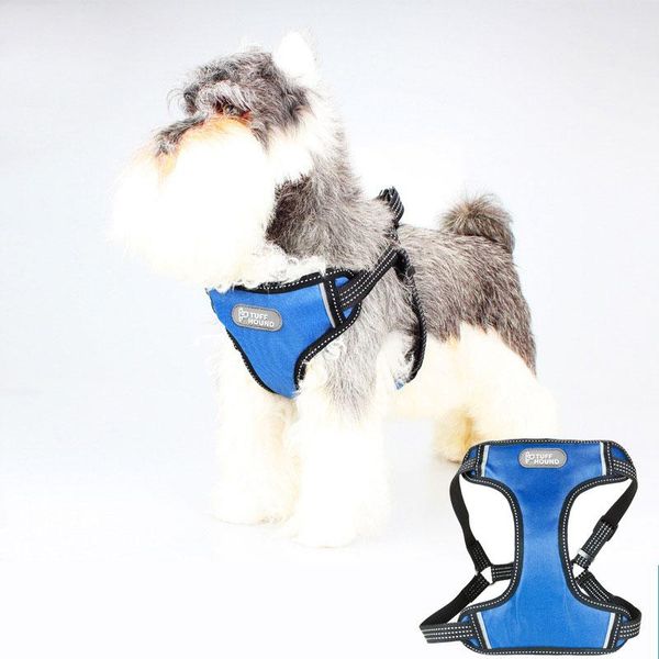 dog collars & leashes harnesses vests chest for and pet collar adjustable soft comfort products accessories
dog collars & leashes harnesses vests chest for and pet collar adjustable soft comfort products accessories
