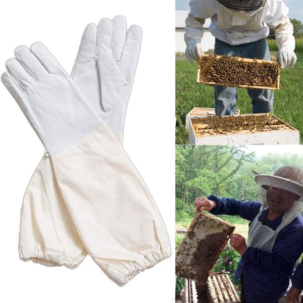 disposable gloves forest beekeeping supply beekeeper glove with long white canvas sleeve elastic cuff herramientas
disposable gloves forest beekeeping supply beekeeper glove with long white canvas sleeve elastic cuff herramientas