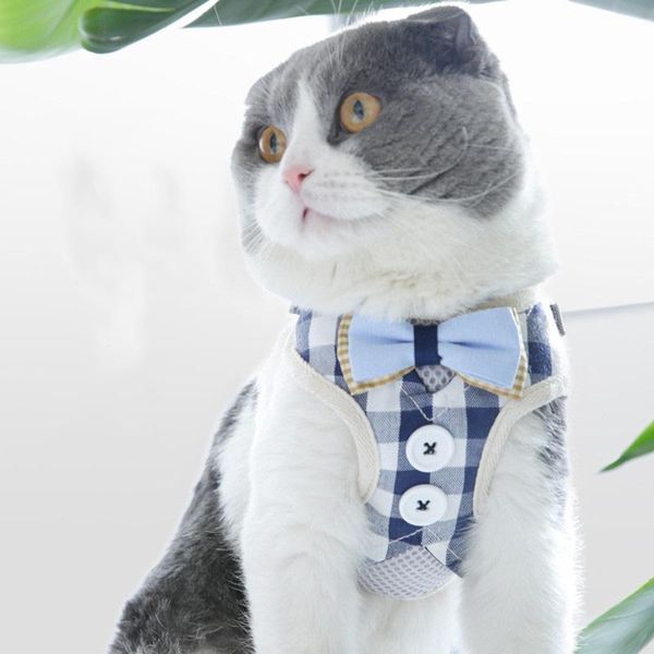 cat collars & leads breathable harness and leash set puppy kitten mesh vest adjustable pet clothes for small dogs yorkies pug
cat collars & leads breathable harness and leash set puppy kitten mesh vest adjustable pet clothes for small dogs yorkies pug