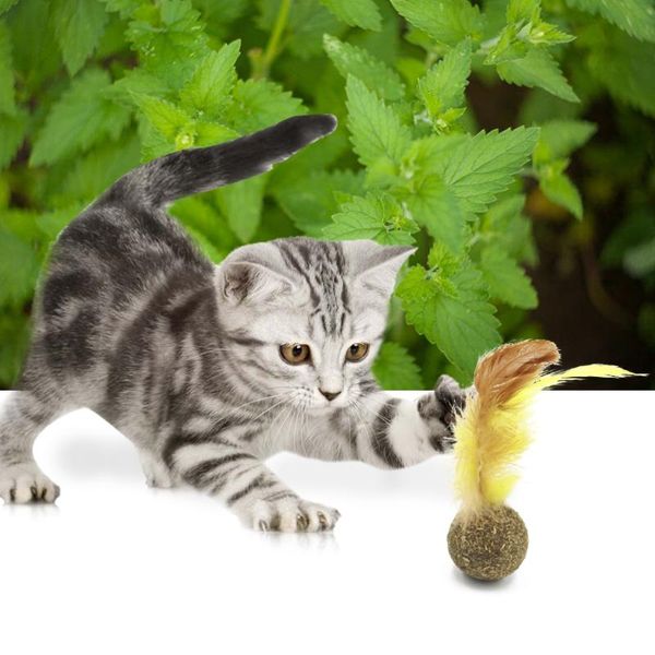 cat toys pet catnip toy natural edible treat ball soft feathers kitten molar cleaning tooth
cat toys pet catnip toy natural edible treat ball soft feathers kitten molar cleaning tooth