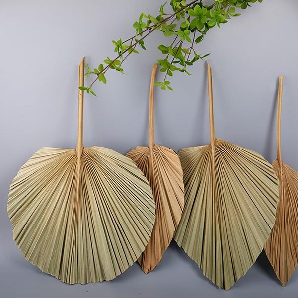 palm fan leaf dried flower window reception party art wall hanging decoration wedding arch arrangement other home decor
palm fan leaf dried flower window reception party art wall hanging decoration wedding arch arrangement other home decor
