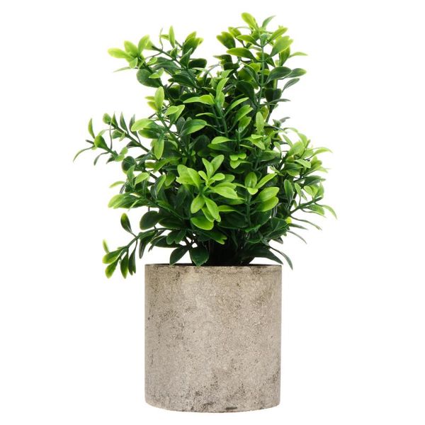 decorative flowers & wreaths 1pc small simulated false green plant deskornament paper pulp pot
decorative flowers & wreaths 1pc small simulated false green plant deskornament paper pulp pot