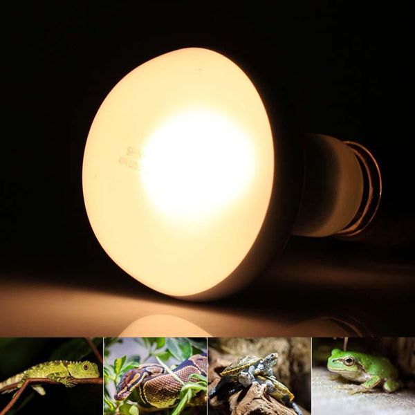 2pcs dr80 animals glass bulb pet heating lamp matte reflector spotlight keep warm 220v base e27 60w 75w 100w yellow led bulbs
2pcs dr80 animals glass bulb pet heating lamp matte reflector spotlight keep warm 220v base e27 60w 75w 100w yellow led bulbs