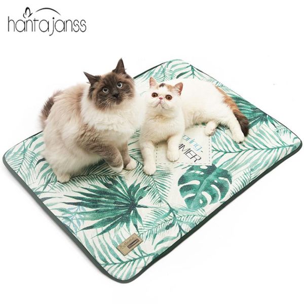 summer pet cooling mat ice silk dog bed for small medium large relief washable cat cushion indoor cold products kennels & pens
summer pet cooling mat ice silk dog bed for small medium large relief washable cat cushion indoor cold products kennels & pens