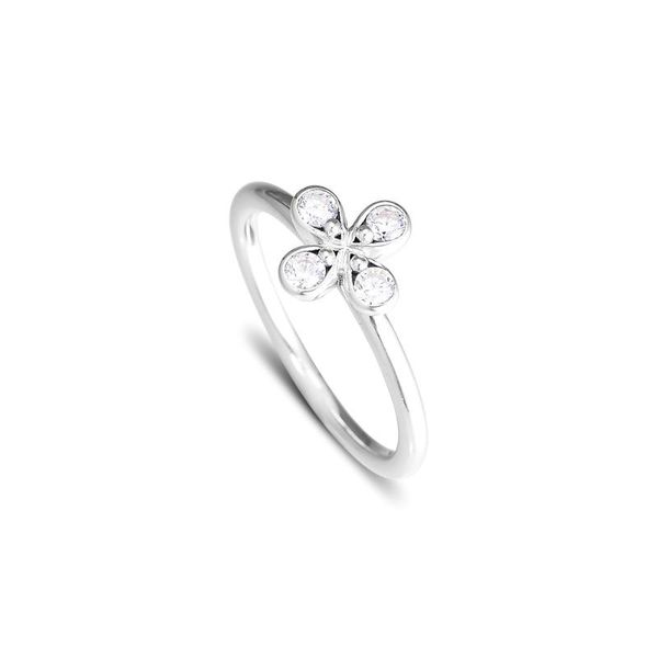 cluster rings gpy ring women anel feminino 925 jewelry sterling silver anillos mujer wedding engagement bagues four-petal flower, Golden;silver
cluster rings gpy ring women anel feminino 925 jewelry sterling silver anillos mujer wedding engagement bagues four-petal flower, Golden;silver