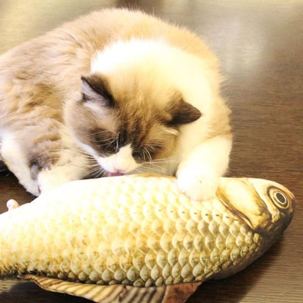 cat toys plush fabric stuffed fish catnip simulation clown grass carp saury kitten chewing biting supplies pet products
cat toys plush fabric stuffed fish catnip simulation clown grass carp saury kitten chewing biting supplies pet products