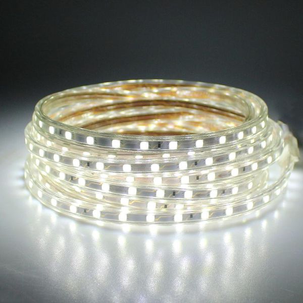 meters 300led/m 220v flexible led strip white/ warm white living room bathroom ip67 waterproof decorative lights strips
meters 300led/m 220v flexible led strip white/ warm white living room bathroom ip67 waterproof decorative lights strips