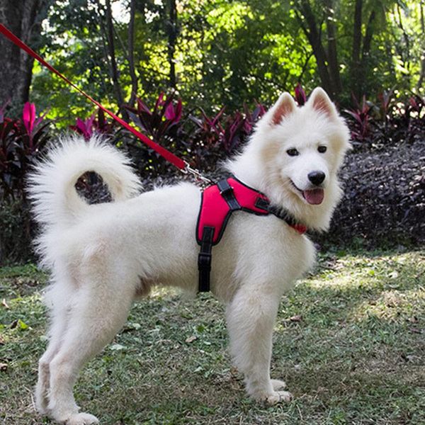 dog collars & leashes pet leash walking training summer vest clothes explosion-proof red saddle chest strap
dog collars & leashes pet leash walking training summer vest clothes explosion-proof red saddle chest strap