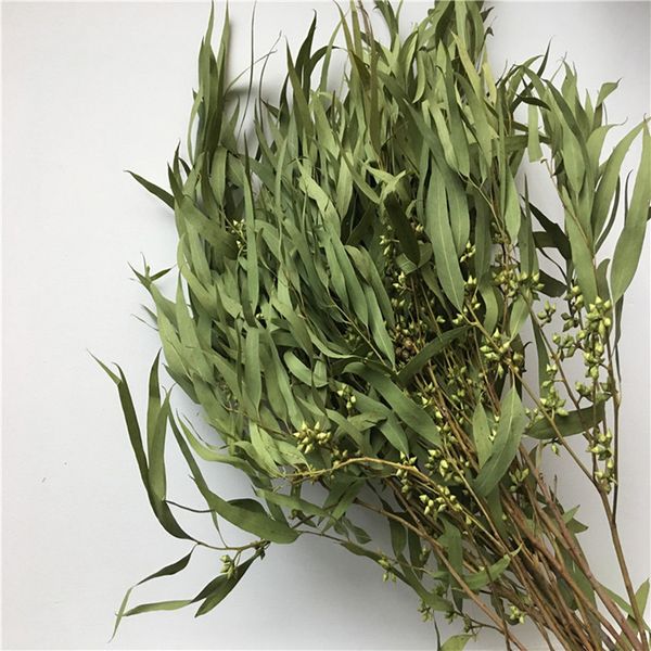 100g millet fruiteucalyptus leaves dry natural fine plantarrangement living room decor wedding home decoration
100g millet fruiteucalyptus leaves dry natural fine plantarrangement living room decor wedding home decoration