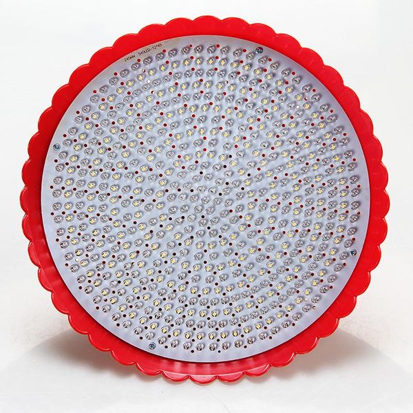 bulbs e27 led fresh pork warm yellow light dish cooked food vegetables fruit seafood white red po meat lamp
bulbs e27 led fresh pork warm yellow light dish cooked food vegetables fruit seafood white red po meat lamp