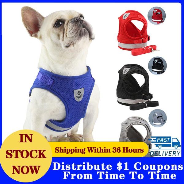dog collars & leashes collar for dogs accessories leash waterproof with thorns small cat led harness
dog collars & leashes collar for dogs accessories leash waterproof with thorns small cat led harness