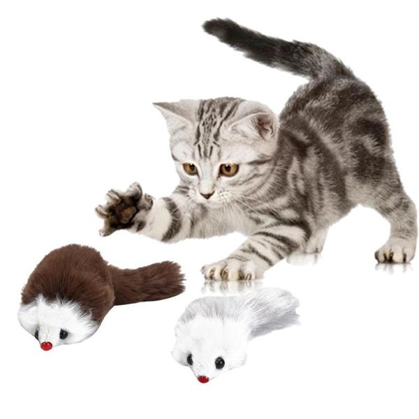 cat toys 6pcs mini funny playing wear-resistant pure plush false mouse uninjurious for kitten squeak accessories
cat toys 6pcs mini funny playing wear-resistant pure plush false mouse uninjurious for kitten squeak accessories