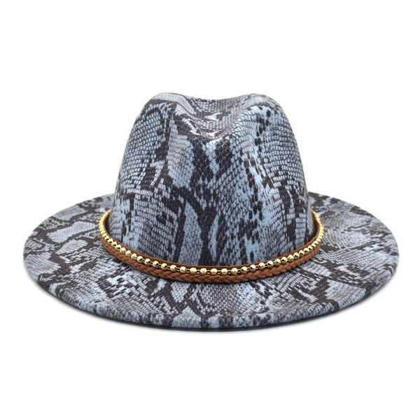 wide brim hats women's wool felt hat european style snake pattern retro outdoor men's jazz fadora for woman, Blue;gray
wide brim hats women's wool felt hat european style snake pattern retro outdoor men's jazz fadora for woman, Blue;gray