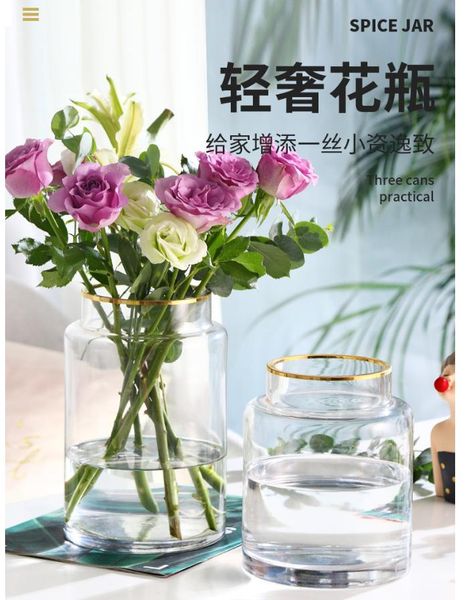party favor simple and creative gold glass vase hydroponic plant flowers flower vases living room dining table crafts decoration accessories
party favor simple and creative gold glass vase hydroponic plant flowers flower vases living room dining table crafts decoration accessories