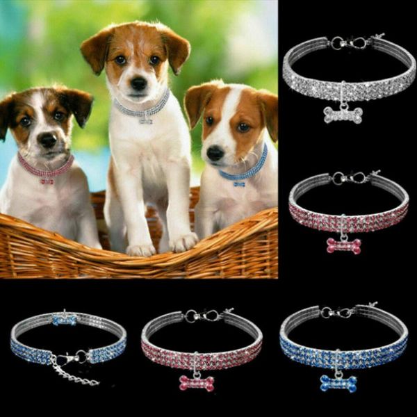 bling rhinestone dog necklace collar diamante jeweled pendant for pet puppy all seasons 2021 fun collars & leashes
bling rhinestone dog necklace collar diamante jeweled pendant for pet puppy all seasons 2021 fun collars & leashes