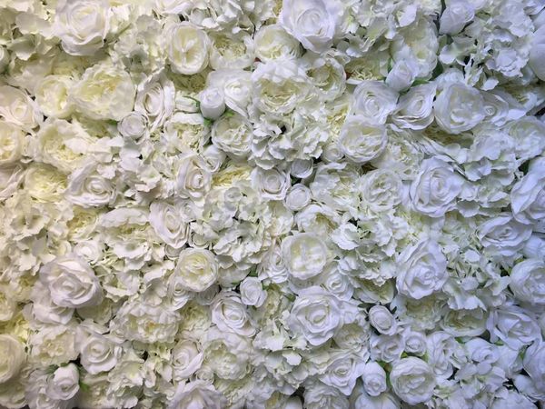 the 3d artificial hydrangea flower wall is decorate wedding background and floral arches. decorative flowers & wreaths
the 3d artificial hydrangea flower wall is decorate wedding background and floral arches. decorative flowers & wreaths