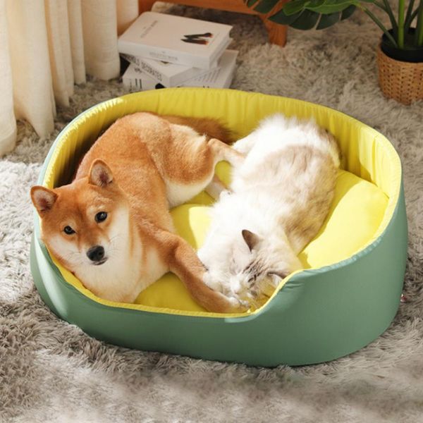 kennels & pens 3d washable kennel pet bed dog cat house large supplies puppy cushion recliner bench sofa
kennels & pens 3d washable kennel pet bed dog cat house large supplies puppy cushion recliner bench sofa
