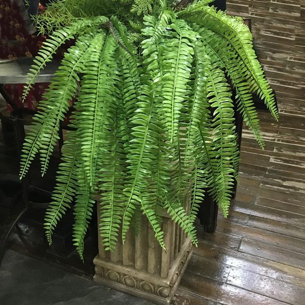 decorative flowers & wreaths 70cm persian leaves tropical fern plantas artificiales garss home decor wedding flores wall vertical room
decorative flowers & wreaths 70cm persian leaves tropical fern plantas artificiales garss home decor wedding flores wall vertical room