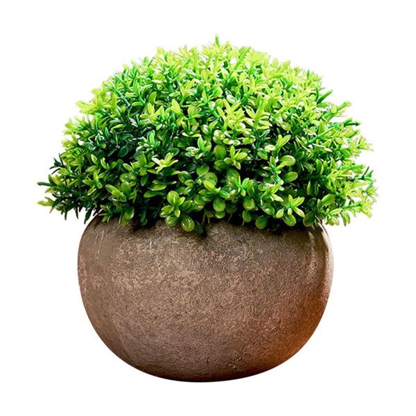 decorative flowers & wreaths grass ball potted bonsai diy home decor artificial plant made of plastic for easy care, home, garden, el, terra
decorative flowers & wreaths grass ball potted bonsai diy home decor artificial plant made of plastic for easy care, home, garden, el, terra
