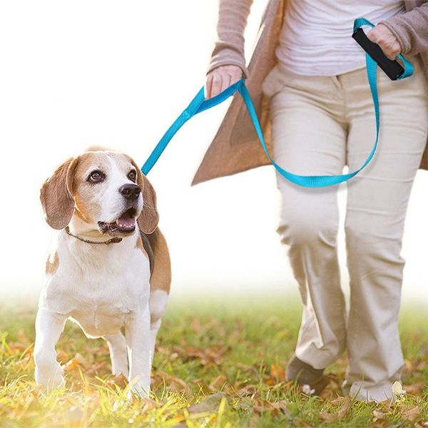 dog leash animal traction rope pet mesh comfortable for medium large dogs walking running training supplies collars & leashes
dog leash animal traction rope pet mesh comfortable for medium large dogs walking running training supplies collars & leashes