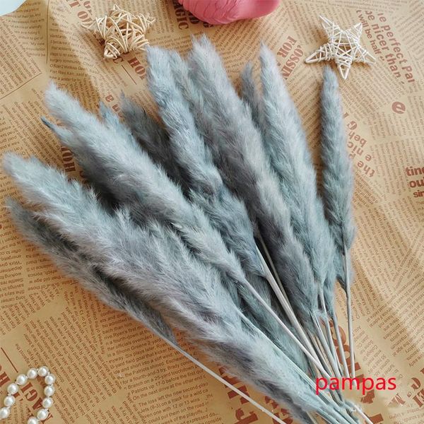 decorative flowers & wreaths light color wedding bunch natural dried pampas grass beautiful christmas home decoration phragmites
decorative flowers & wreaths light color wedding bunch natural dried pampas grass beautiful christmas home decoration phragmites
