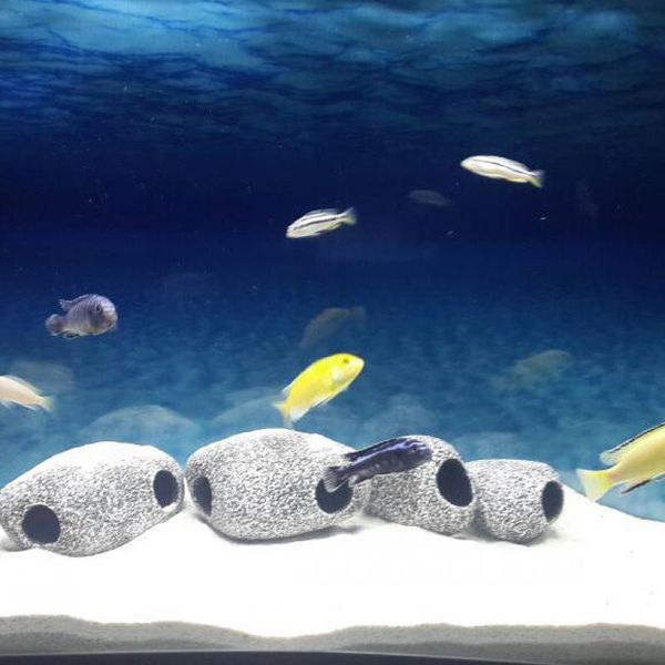 decorations 2 size ceramic aquarium cichlid stone rock cave decoration fish tank breeding housing shelter ornament for
decorations 2 size ceramic aquarium cichlid stone rock cave decoration fish tank breeding housing shelter ornament for