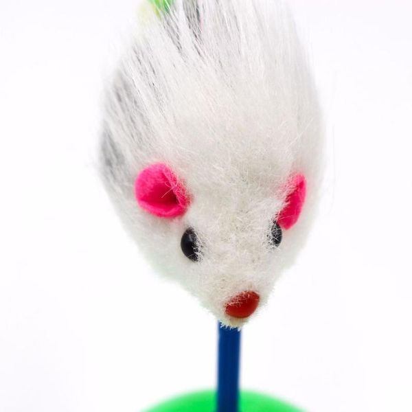 cat toys tumbler mouse plush toy supplies pet kittens feather accessaries
cat toys tumbler mouse plush toy supplies pet kittens feather accessaries