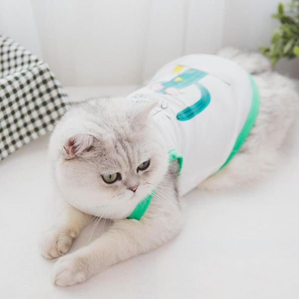 summer clothes small fresh lovely floral bubble sleeve teddy little dog cat pet breathable comfortable skirt costumes
summer clothes small fresh lovely floral bubble sleeve teddy little dog cat pet breathable comfortable skirt costumes