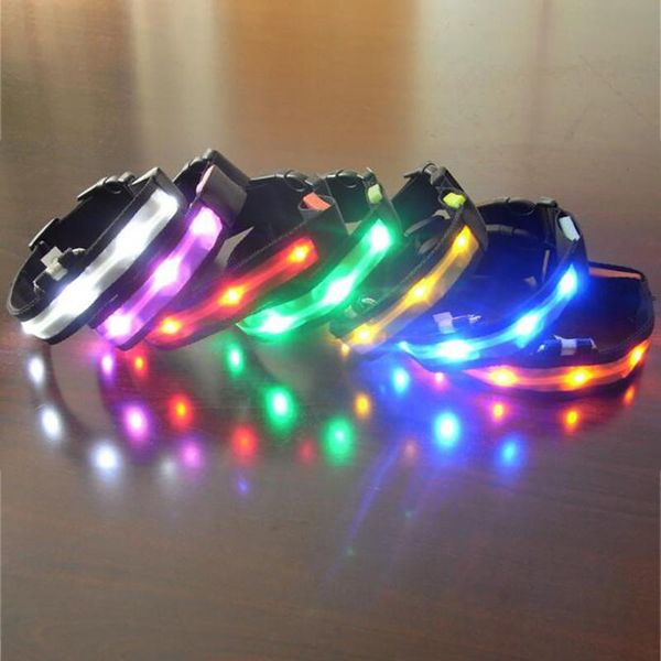 dog collars & leashes led safety collar rechargeable light up pet adjustable nylon flashing luminous necklace puppy anti-lost supplies
dog collars & leashes led safety collar rechargeable light up pet adjustable nylon flashing luminous necklace puppy anti-lost supplies