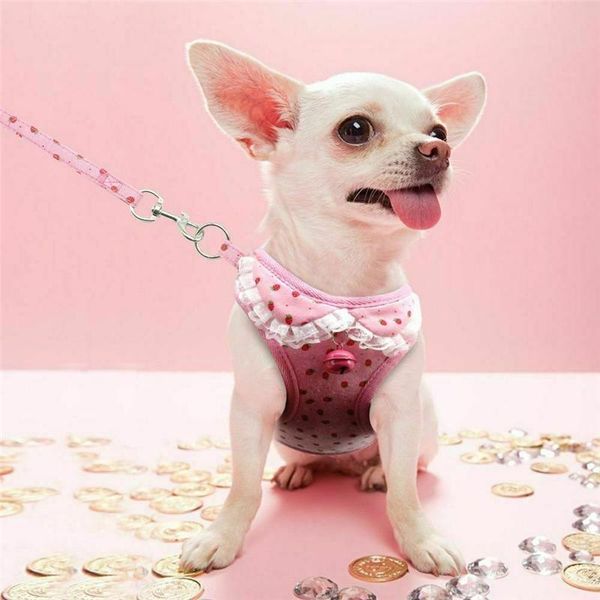 dog collars & leashes breathable mesh small pet harness and leash set puppy vest for cat adjustable
dog collars & leashes breathable mesh small pet harness and leash set puppy vest for cat adjustable