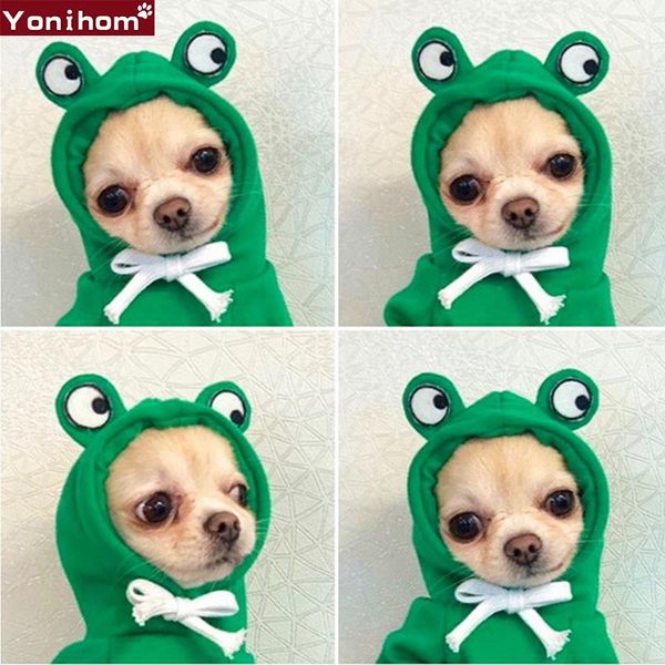 dog apparel fashion clothes for cat puppy hoodies coats winter dogs coat jacket cotton warm sweater outfits
dog apparel fashion clothes for cat puppy hoodies coats winter dogs coat jacket cotton warm sweater outfits