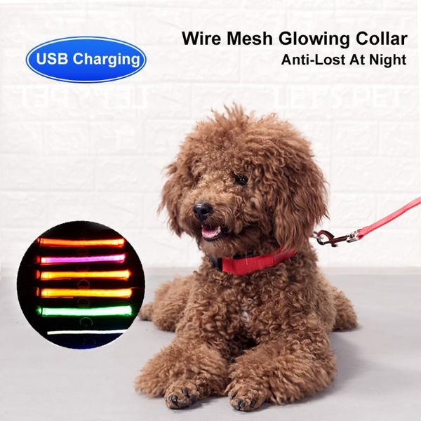 dog collars & leashes usb rechargeable led collar anti-lost night flashing luminous safety nylon adjustable cat outdoor
dog collars & leashes usb rechargeable led collar anti-lost night flashing luminous safety nylon adjustable cat outdoor