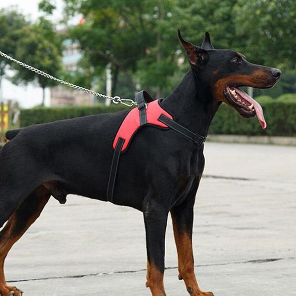 dog collars & leashes collar large breathable harness adjustbale pet durable puppy vest saddle products
dog collars & leashes collar large breathable harness adjustbale pet durable puppy vest saddle products