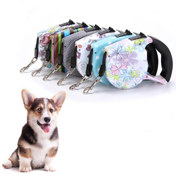 fashion printed 5m retractable dog leash automatic extending puppy traction rope cute leashes outdoor walking belt dogs supplies collars &
fashion printed 5m retractable dog leash automatic extending puppy traction rope cute leashes outdoor walking belt dogs supplies collars &
