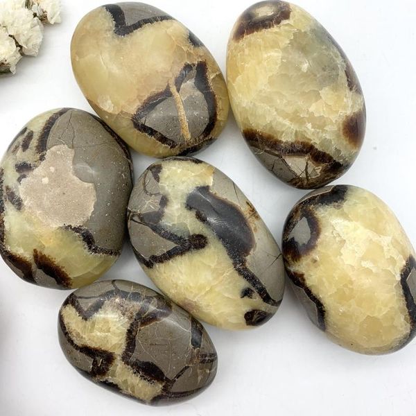 beautiful natural septarium septarian palm quartz gem crystal polished stones irregular shape healing home decoration gifts decorative o obj
beautiful natural septarium septarian palm quartz gem crystal polished stones irregular shape healing home decoration gifts decorative o obj