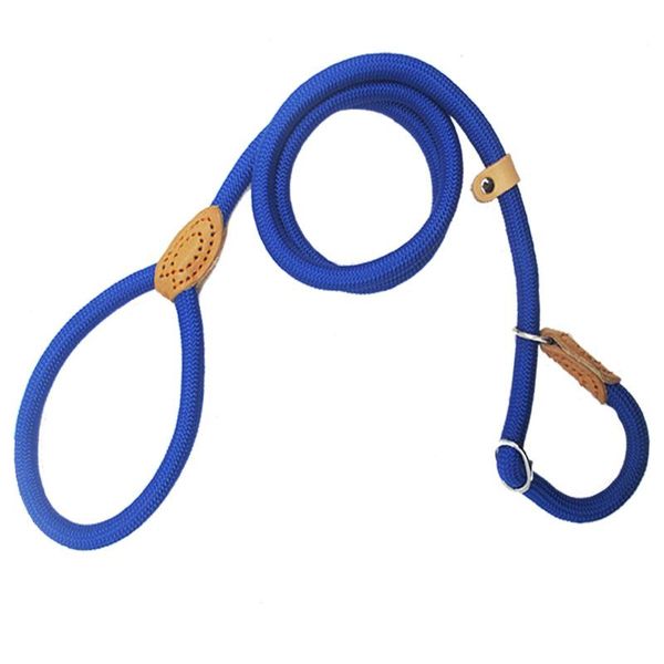 dog collars & leashes leash p chain slip collar walking leads nylon puppy traction rope for small medium large dogs accessories
dog collars & leashes leash p chain slip collar walking leads nylon puppy traction rope for small medium large dogs accessories