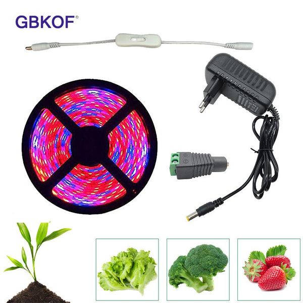 grow light full spectrum usb strip 2m 3m 5m chip led phyto lamp for plants flowers greenhouse hydroponic lights
grow light full spectrum usb strip 2m 3m 5m chip led phyto lamp for plants flowers greenhouse hydroponic lights