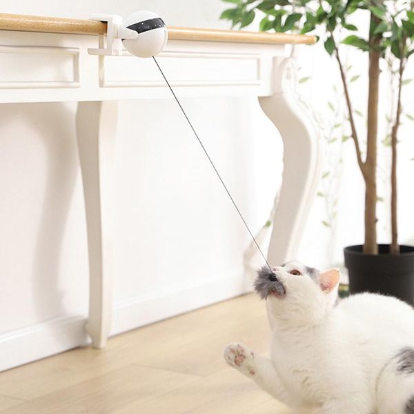 cat toys abs interactive toy electric automatic lifting plush ball pet supply puzzle
cat toys abs interactive toy electric automatic lifting plush ball pet supply puzzle