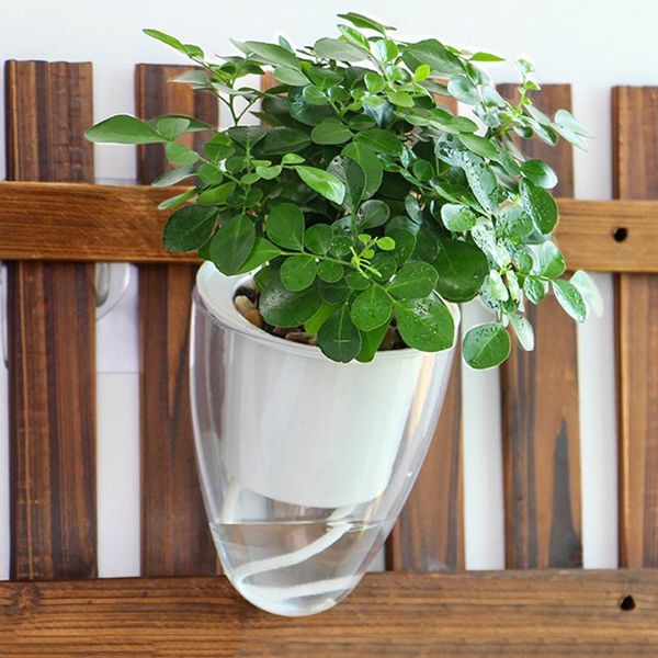 transparent plastic double layers self-watering wall hanging flowerpot planter pots for flowers home decor planters &
transparent plastic double layers self-watering wall hanging flowerpot planter pots for flowers home decor planters &
